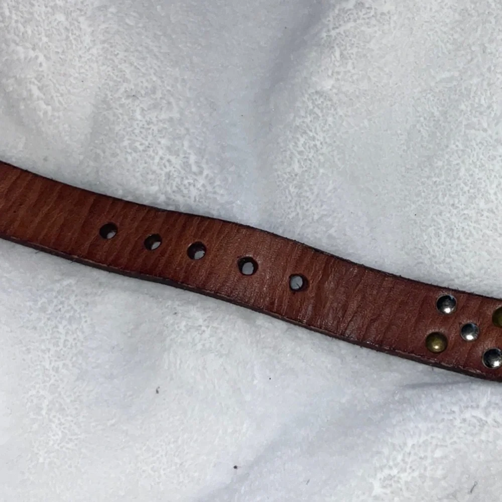 New leather dog collars
